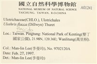 登錄號:A00001241藏品圖，第2張