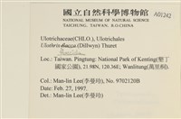登錄號:A00001242藏品圖，第2張