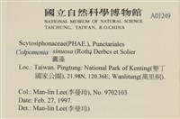 登錄號:A00001249藏品圖，第2張