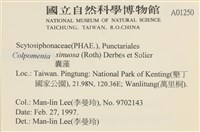 登錄號:A00001250藏品圖，第2張