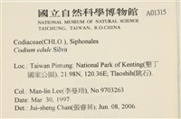 登錄號:A00001315藏品圖，第2張