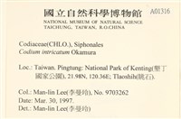 登錄號:A00001316藏品圖，第2張