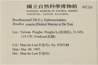 登錄號:A00001339藏品圖，第2張