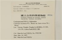 登錄號:A00001341藏品圖，第2張