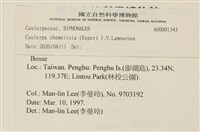 登錄號:A00001343藏品圖，第2張