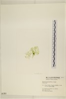 登錄號:A00001351藏品圖，第3張