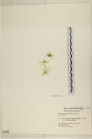 登錄號:A00001352藏品圖，第3張