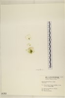 登錄號:A00001353藏品圖，第3張