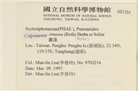 登錄號:A00001354藏品圖，第2張