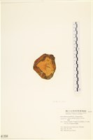 登錄號:A00001356藏品圖，第3張