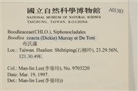 登錄號:A00001383藏品圖，第2張