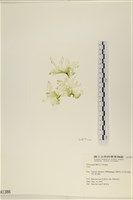 登錄號:A00001386藏品圖，第3張