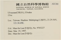 登錄號:A00001388藏品圖，第2張
