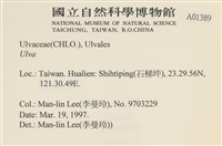 登錄號:A00001389藏品圖，第2張