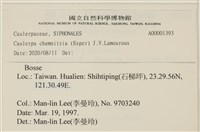 登錄號:A00001393藏品圖，第2張