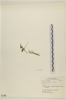 登錄號:A00001393藏品圖，第3張