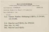 登錄號:A00001394藏品圖，第2張