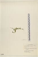 登錄號:A00001394藏品圖，第3張