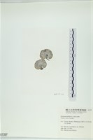 登錄號:A00001397藏品圖，第3張