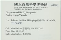 登錄號:A00001399藏品圖，第2張