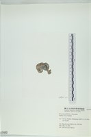 登錄號:A00001400藏品圖，第3張