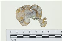 登錄號:A00001400藏品圖，第1張