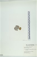 登錄號:A00001401藏品圖，第3張