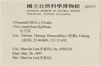 Accession Number:A00001413 Collection Image, Figure 2, Total 3 Figures