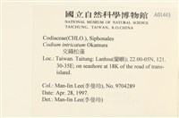 登錄號:A00001443藏品圖，第2張