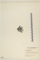 登錄號:A00001443藏品圖，第3張