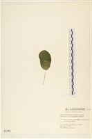 登錄號:A00001445藏品圖，第3張