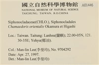 Accession Number:A00001446 Collection Image, Figure 2, Total 3 Figures
