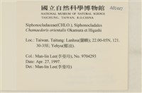 登錄號:A00001447藏品圖，第2張