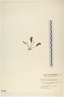 登錄號:A00001448藏品圖，第3張