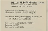 登錄號:A00001449藏品圖，第2張