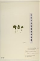 登錄號:A00001449藏品圖，第3張