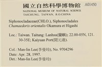 登錄號:A00001450藏品圖，第2張