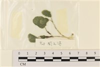 登錄號:A00001450藏品圖，第1張