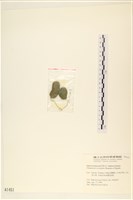 登錄號:A00001451藏品圖，第3張