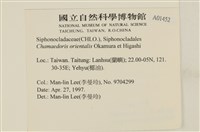 登錄號:A00001452藏品圖，第2張