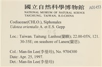 登錄號:A00001453藏品圖，第2張