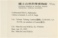 登錄號:A00001454藏品圖，第2張