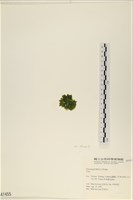 登錄號:A00001455藏品圖，第3張