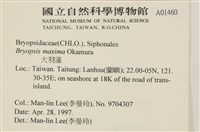 大羽藻藏品圖，第2張