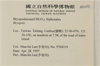 登錄號:A00001472藏品圖，第2張