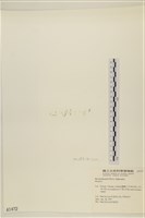 登錄號:A00001472藏品圖，第3張