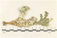 登錄號:A00001488藏品圖，第1張