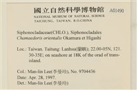 登錄號:A00001490藏品圖，第2張