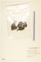 登錄號:A00001490藏品圖，第3張