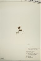 登錄號:A00001595藏品圖，第3張